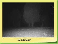 12120220