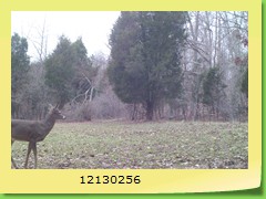 12130256