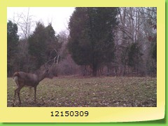 12150309