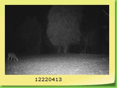 12220413