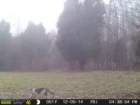 photo14_small.jpg