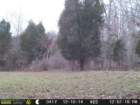 photo27_small.jpg