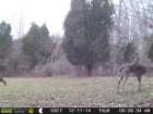 photo31_small.jpg