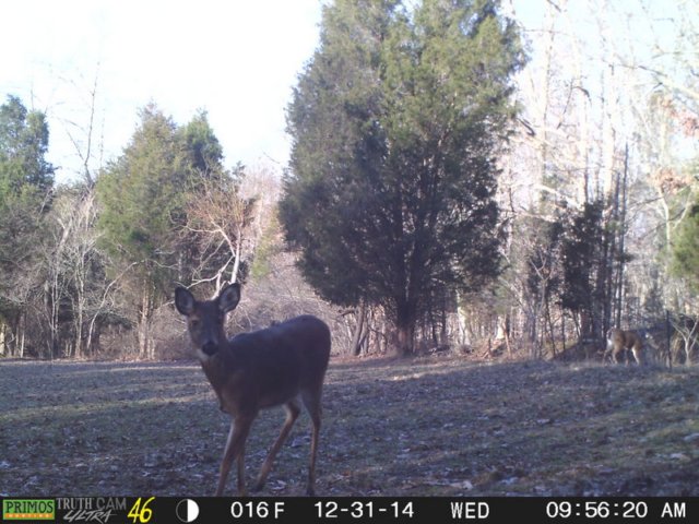 photo85.jpg