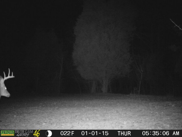photo87.jpg