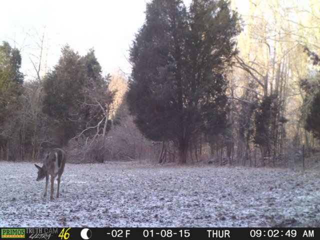 photo96.jpg