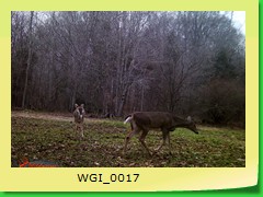 WGI_0017