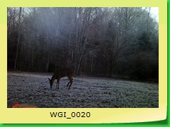WGI_0020