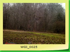 WGI_0025