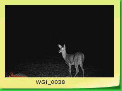 WGI_0038