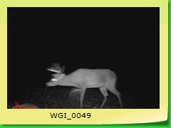 WGI_0049