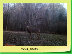 WGI_0059