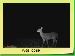 WGI_0069