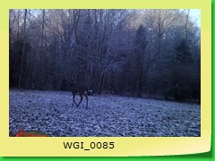 WGI_0085