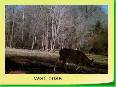 WGI_0086