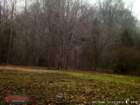 wgi_0025_small.jpg