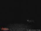 wgi_0052_small.jpg