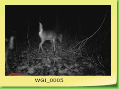 WGI_0005