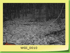 WGI_0010
