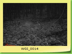 WGI_0014