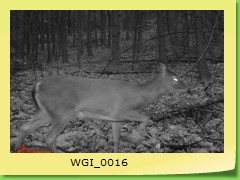 WGI_0016