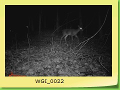 WGI_0022