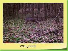 WGI_0025