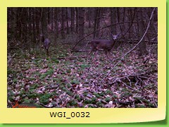 WGI_0032