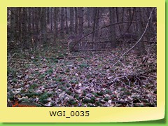 WGI_0035