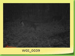WGI_0039