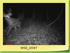 WGI_0047