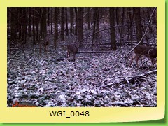 WGI_0048