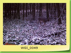 WGI_0049