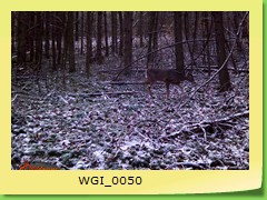 WGI_0050