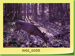 WGI_0055