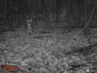 wgi_0012_small.jpg