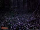 wgi_0026_small.jpg