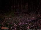 wgi_0034_small.jpg