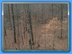 IMG_2008