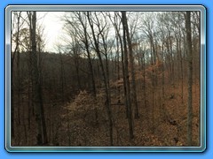 IMG_2009