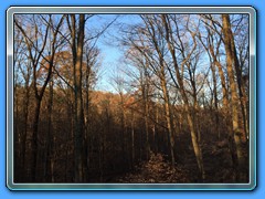 IMG_2013