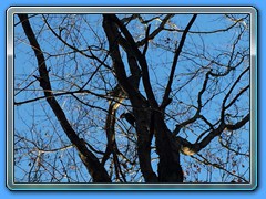 IMG_2014