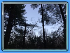 IMG_2030