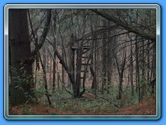 IMG_2031