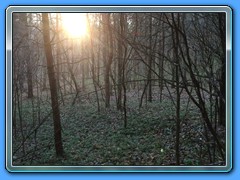 IMG_2032