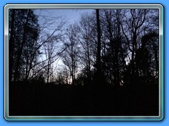 IMG_2043