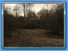 IMG_2054
