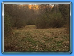 IMG_2055