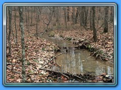 IMG_2059