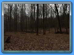 IMG_2064